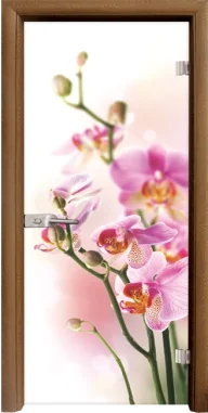 Стъклена врата Standart Print G 13-2, Златен дъб