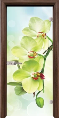 Стъклена врата Standart Print G 13-3 Green, Орех