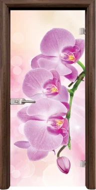 Стъклена врата Standart Print G 13-3 Pink, Орех